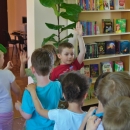 2013-05-17-imgp1385_0023