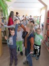 IMG_1772
