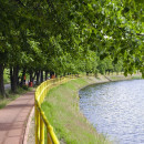 23_2014-06-14-IMGP1374_0010