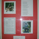 S5004562.JPG