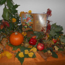 DSCN3202_05