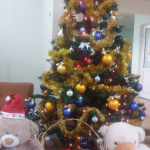 47322313_2261654597381398_723549238864117760_n_11