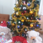 47682745_2381586208579223_8295525536025804800_n