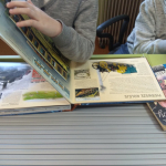 53476424_2248656285174057_1233374608657219584_n