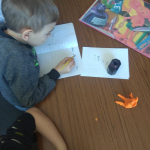 53661767_402547090544574_5617301762667970560_n