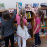 55506945_430345347717931_8116494565935939584_n