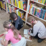 56281533_2231787737081334_2062116744880717824_n