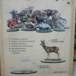 54517385_2727163393991857_3570650443400871936_n_www_05