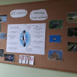 54521661_315062589185657_6009274226291245056_n_www_02