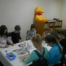 DSCN7984