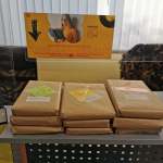 244940775_198745655705772_4162341544913277401_n