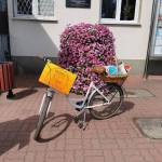 IMG_20210813_105053