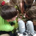 IMG_20221001_194137
