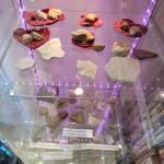 IMG_20240209_091149