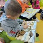 553703059_1106140051671923_9177152484442404829_n