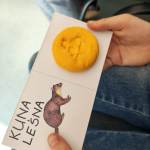 669026072_1379010387595682_6291738143382512644_n