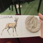 669526491_1379010347595686_7900645973770432218_n