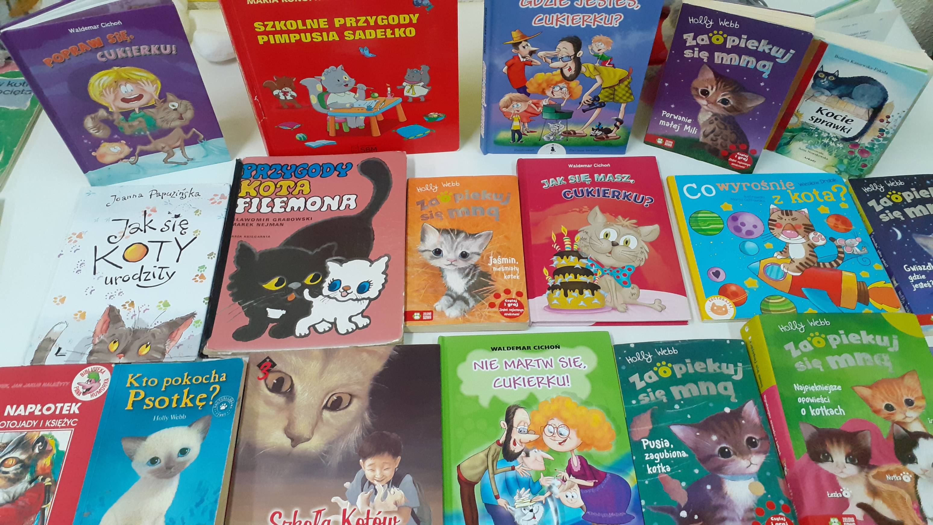 książki z kotami