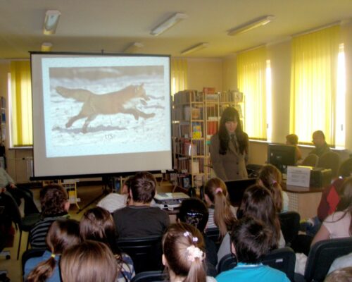 Lekcja ekologiczna w bibliotece