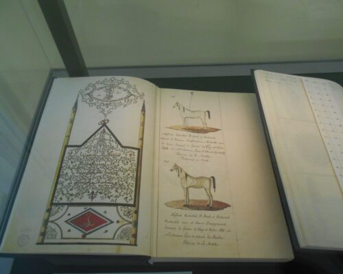 „Skarby Biblioteki Narodowej” – relacja z wystawy