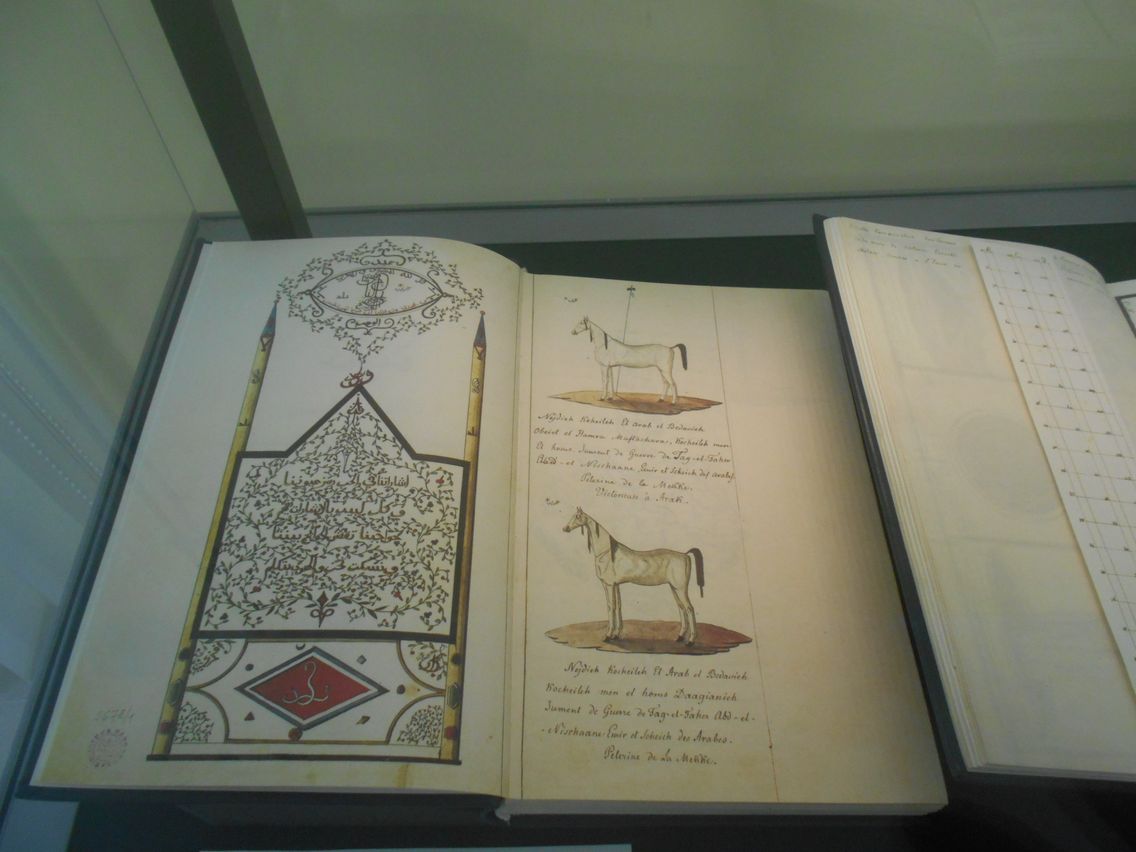 You are currently viewing „Skarby Biblioteki Narodowej” – relacja z wystawy