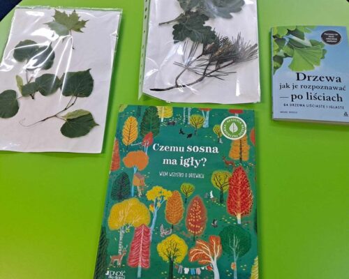 „Rozmowy o lesie”  – XXI Ogólnopolski Tydzień  Bibliotek