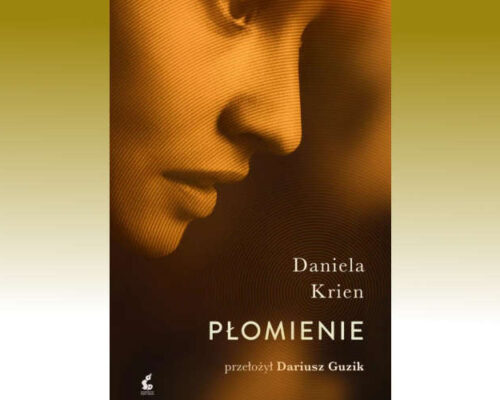 Płomienie  | Daniela Krien