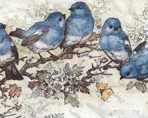 Zagadki o zwierzętach