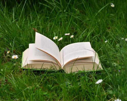 Komunikat – ponownie otwarta biblioteka