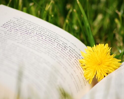 Plan imprez – marzec 2018