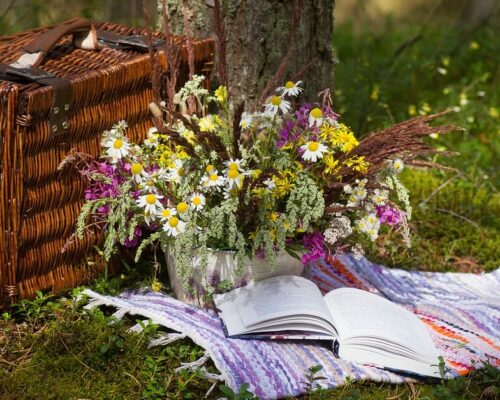 „Zabierz książkę na wakacje” – druga odsłona akcji