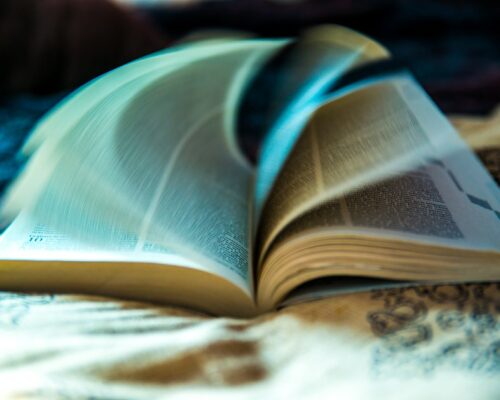 Imprezy cykliczne w 2015 roku