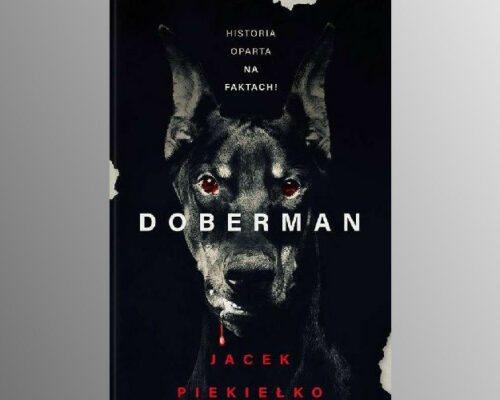 Doberman | Jacek Piekiełko
