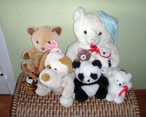 Spotkanie z Pluszowym Misiem