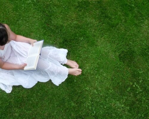 Plan imprez – kwiecień 2017