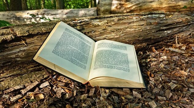 You are currently viewing Filia 2 ul. Sezamkowa – komunikat