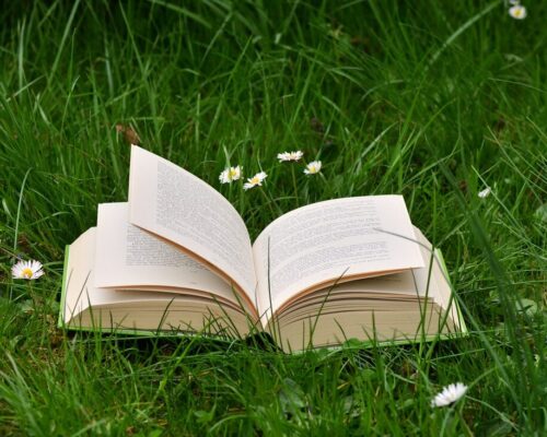 Filia 2 – ul. Sezamkowa – komunikat