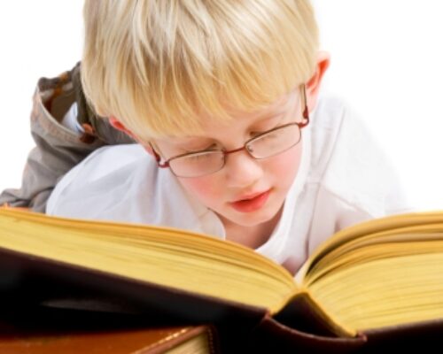 Wystawy w miesiącu lutym 2007