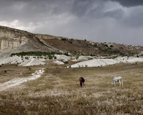 Kultura w sieci – „Stepy Akermańskie” A. Mickiewicza
