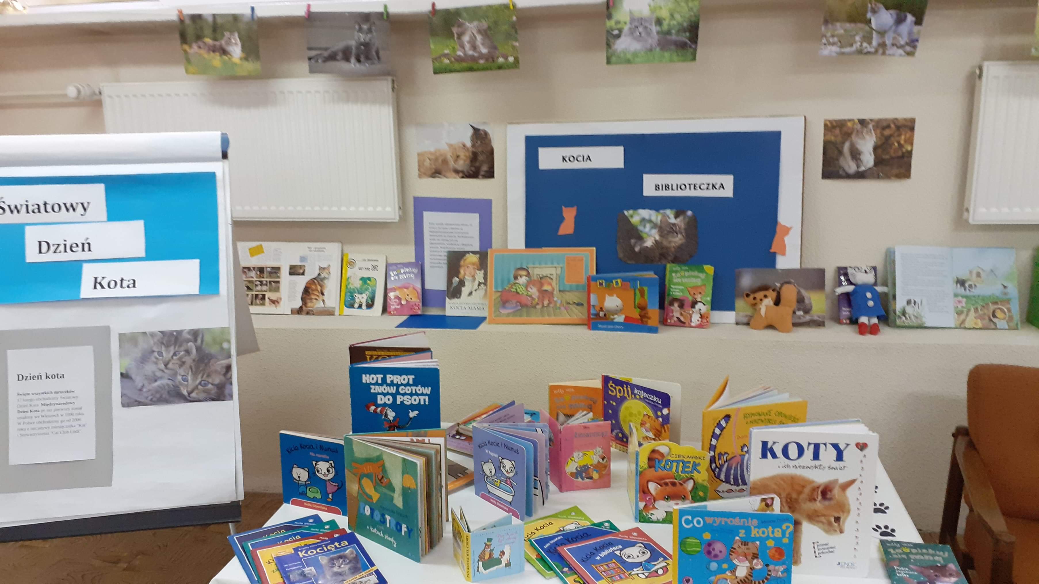 You are currently viewing Dzień Kota w bibliotece