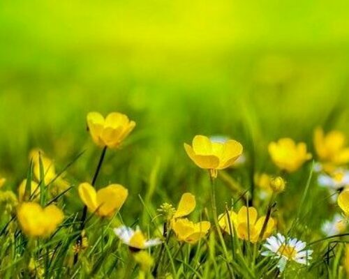 Filia 1 i 2 – Komunikat