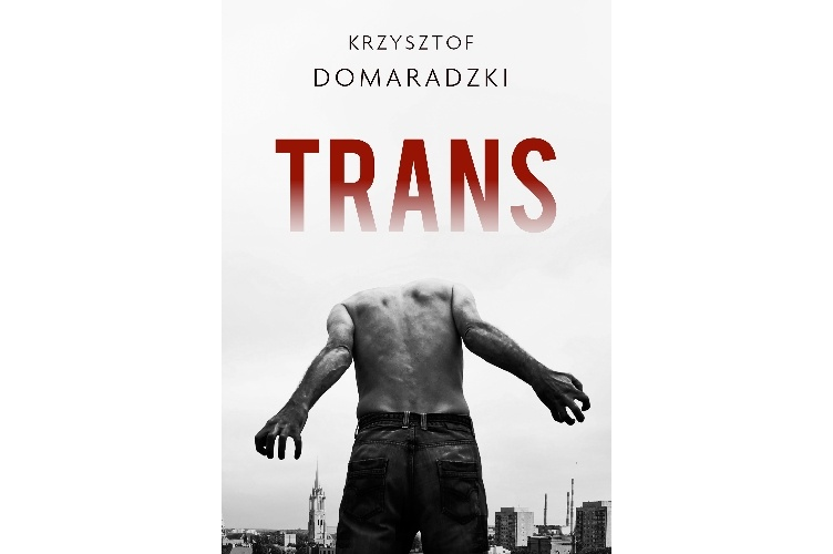 You are currently viewing Trans