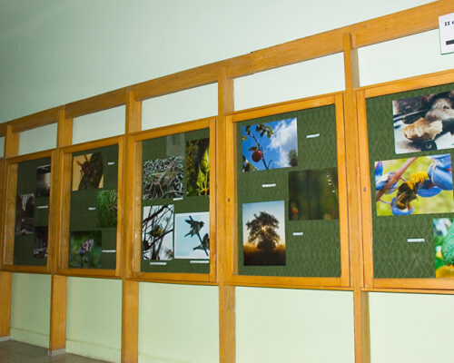 Wystawy w miesiącu lipiec/sierpień 2008