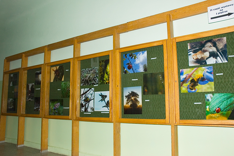 You are currently viewing Wystawy w miesiącu lipiec/sierpień 2008